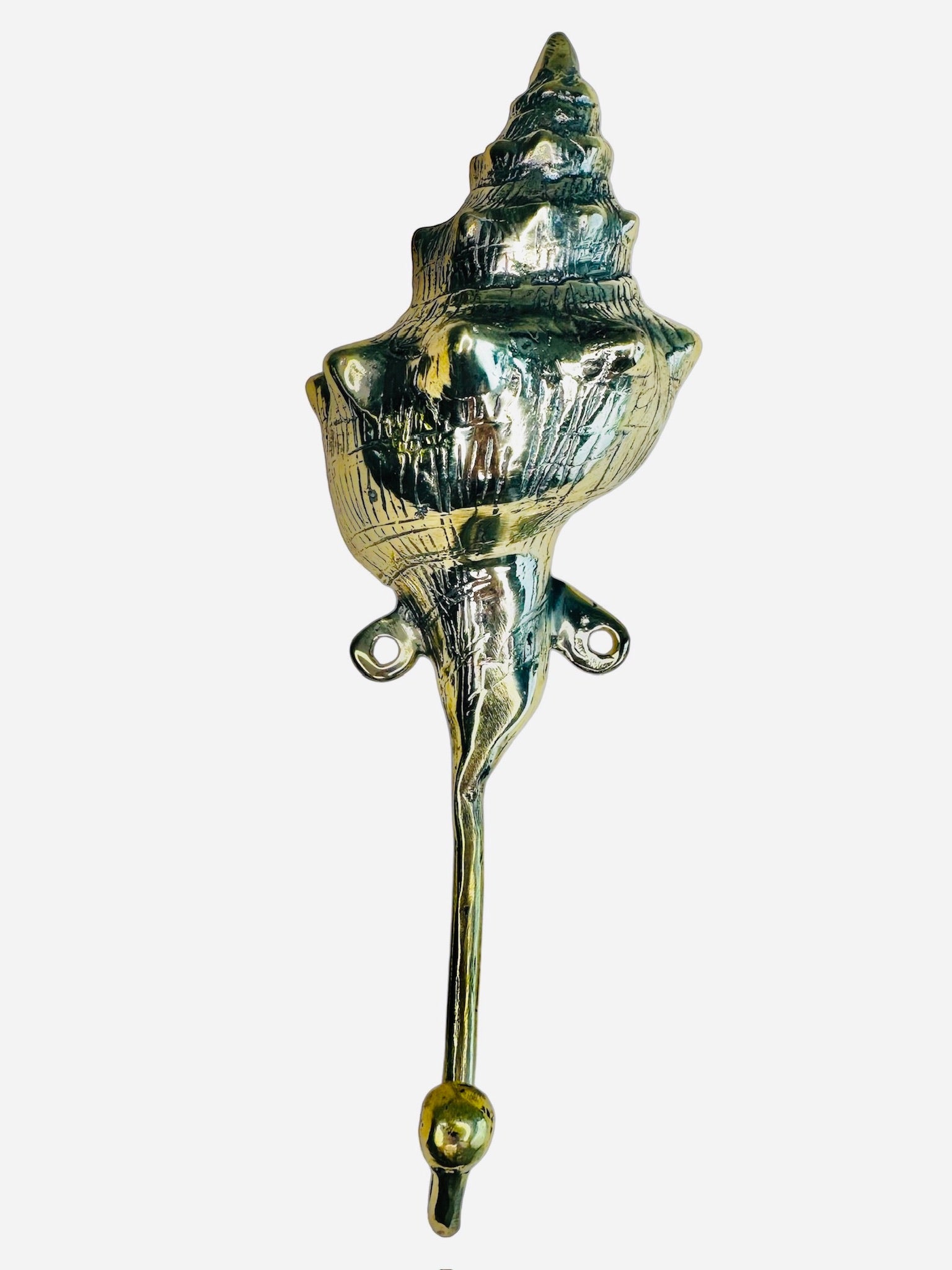 Conch Shell Hook – BaliaLiving