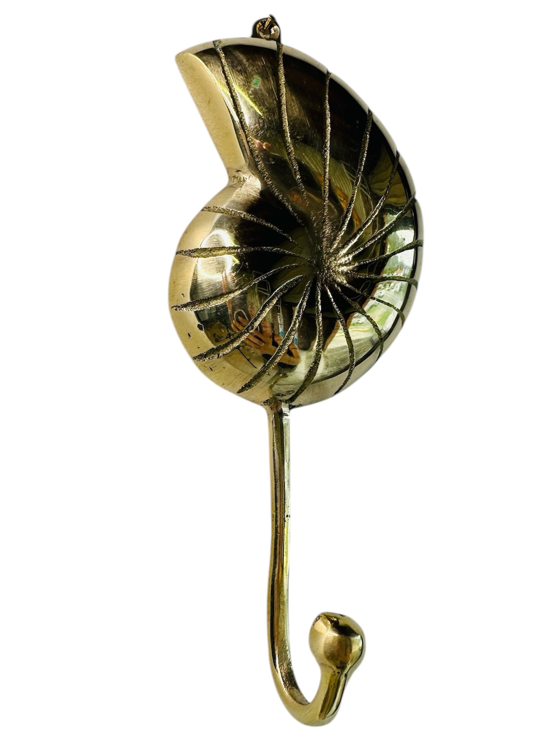 Snail Shell Hook – BaliaLiving