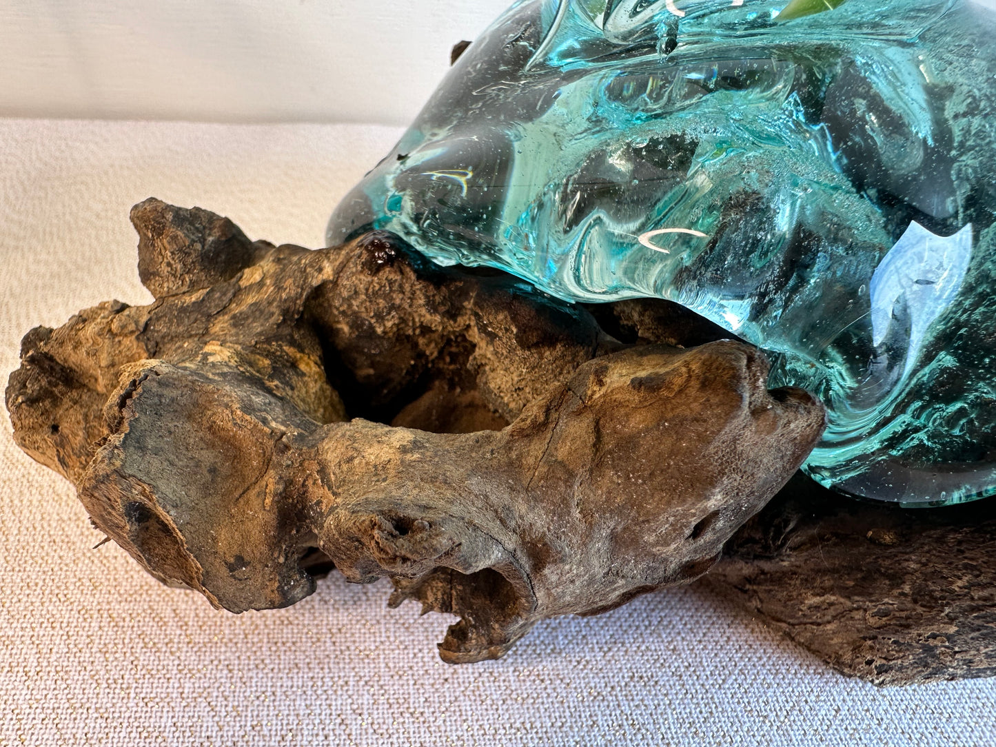 Hydroponic Glass Vase