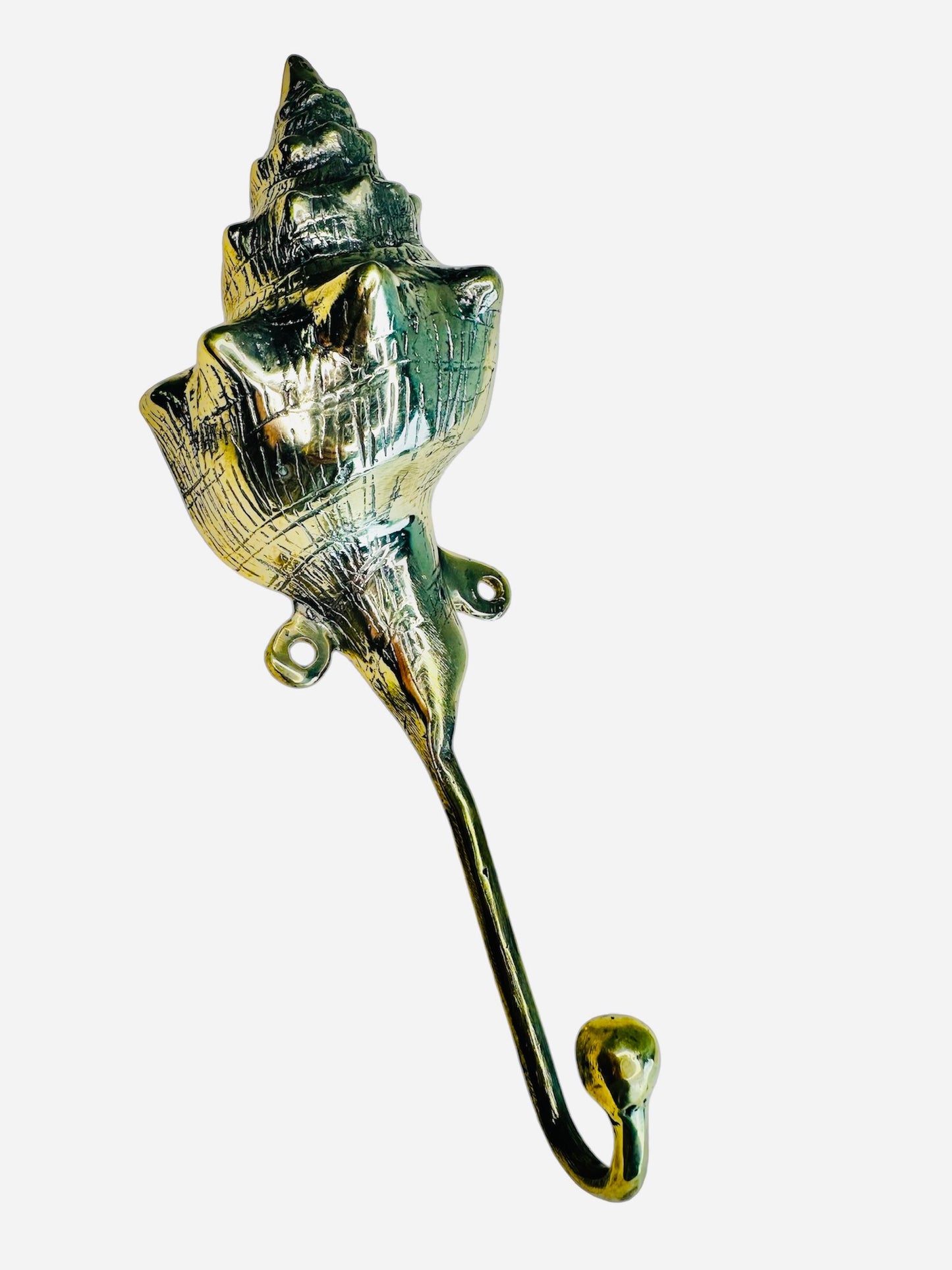 Conch Shell Hook