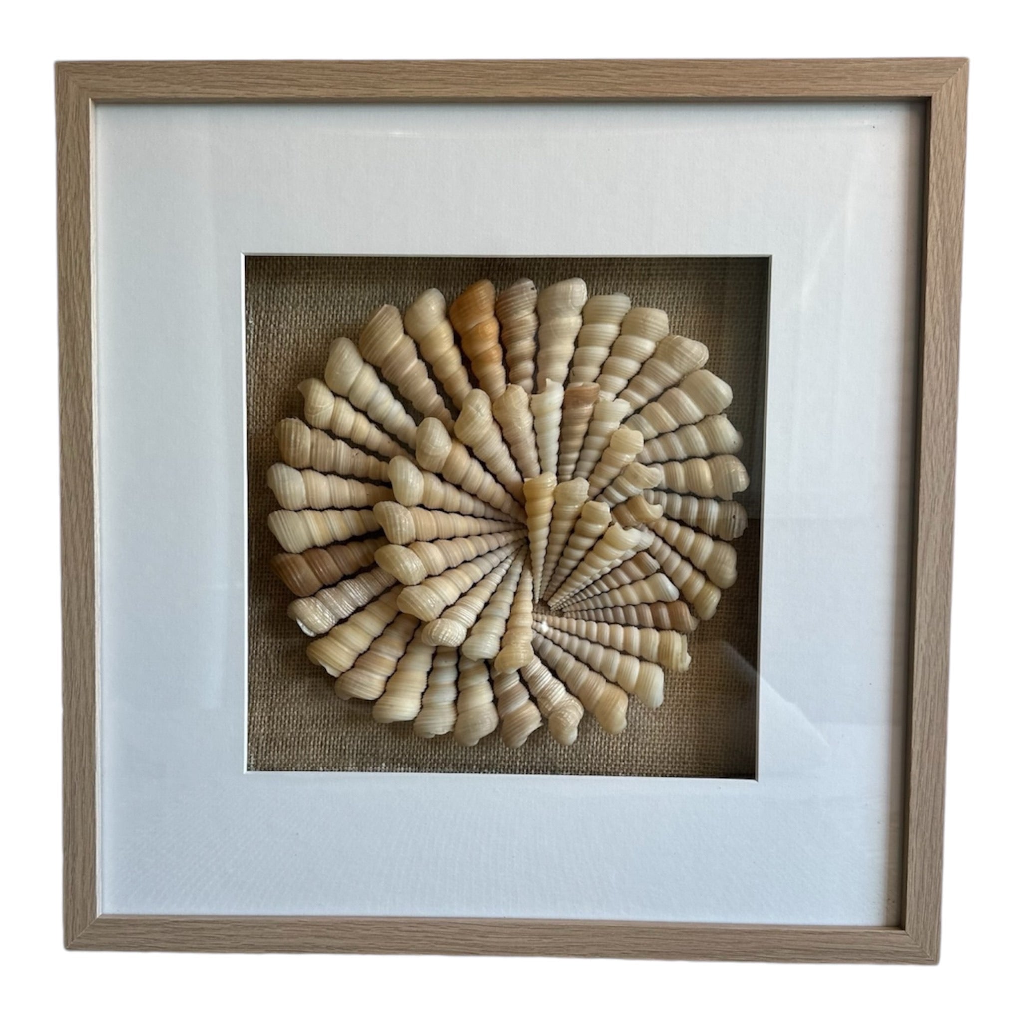 Handmade Shell Mandala - Spiral Conch Shells – BaliaLiving