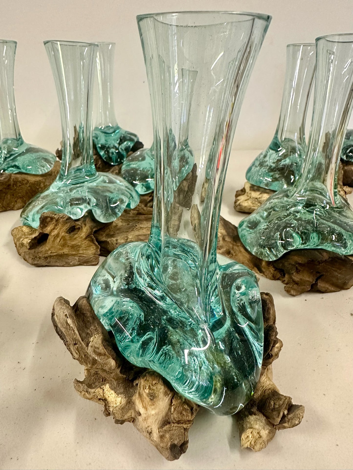 Hydroponic Glass Vase